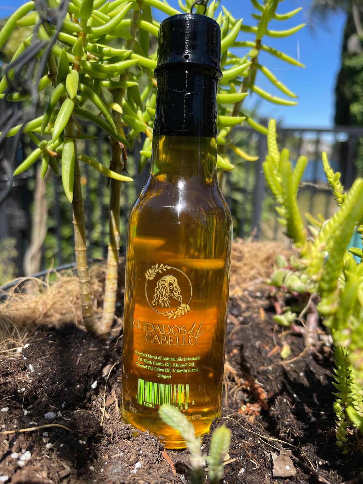 whatsapp image 2026 01 02 at 2.10.49 am